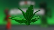 Calla Lily's plant (Image via Roblox)